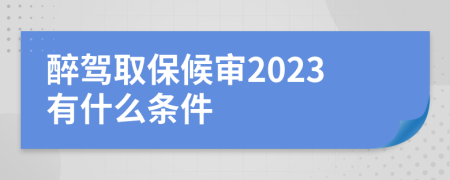 醉驾取保候审2023有什么条件