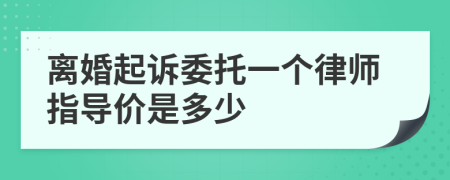 离婚起诉委托一个律师指导价是多少