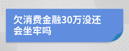 欠消费金融30万没还会坐牢吗