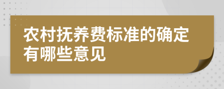 农村抚养费标准的确定有哪些意见