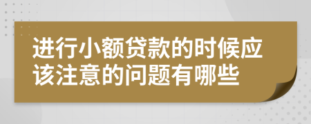 进行小额贷款的时候应该注意的问题有哪些