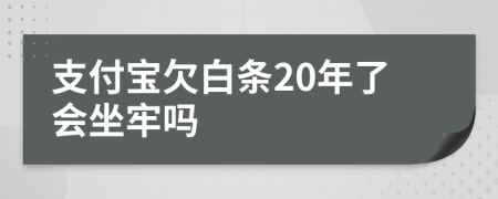 支付宝欠白条20年了会坐牢吗