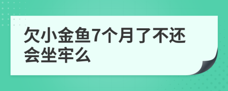 欠小金鱼7个月了不还会坐牢么