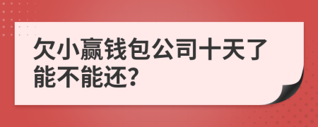 欠小赢钱包公司十天了能不能还？