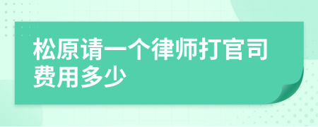 松原请一个律师打官司费用多少