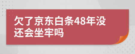 欠了京东白条48年没还会坐牢吗