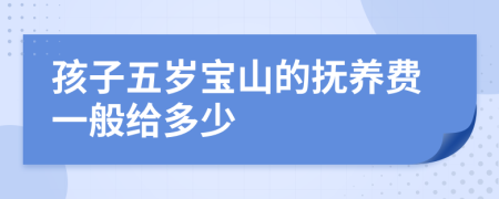 孩子五岁宝山的抚养费一般给多少