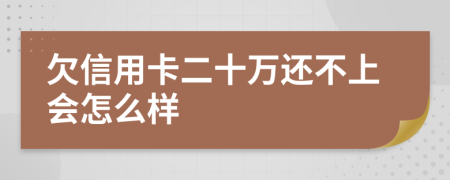 欠信用卡二十万还不上会怎么样