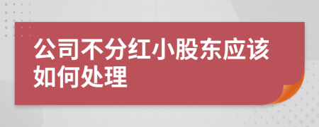 公司不分红小股东应该如何处理