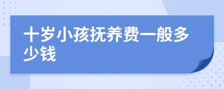 十岁小孩抚养费一般多少钱