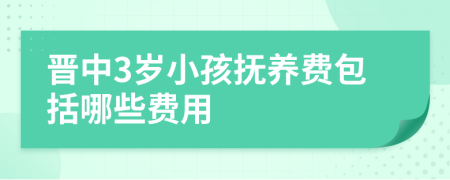 晋中3岁小孩抚养费包括哪些费用