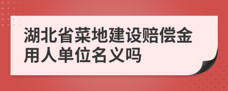 湖北省菜地建设赔偿金用人单位名义吗