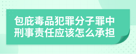 包庇毒品犯罪分子罪中刑事责任应该怎么承担