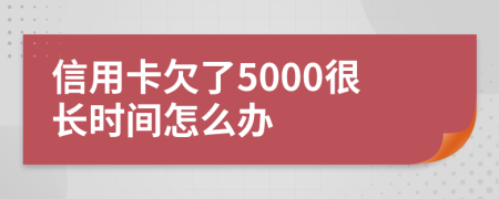 信用卡欠了5000很长时间怎么办