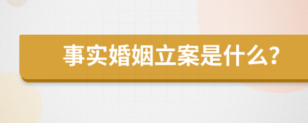 事实婚姻立案是什么？