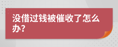 没借过钱被催收了怎么办？