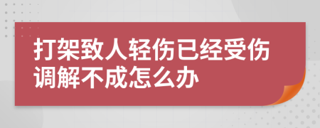 打架致人轻伤已经受伤调解不成怎么办