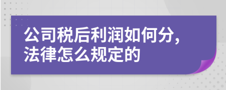 公司税后利润如何分,法律怎么规定的