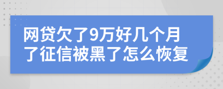 网贷欠了9万好几个月了征信被黑了怎么恢复