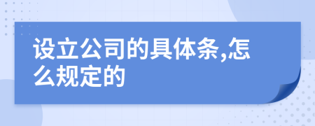 设立公司的具体条,怎么规定的