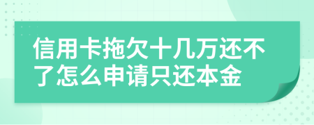 信用卡拖欠十几万还不了怎么申请只还本金