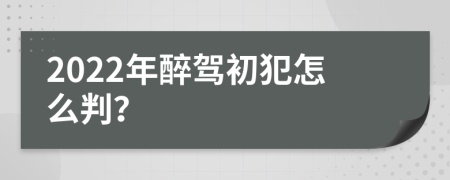 2022年醉驾初犯怎么判？