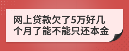 网上贷款欠了5万好几个月了能不能只还本金