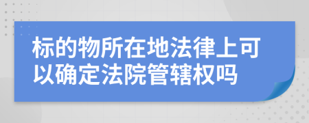 标的物所在地法律上可以确定法院管辖权吗