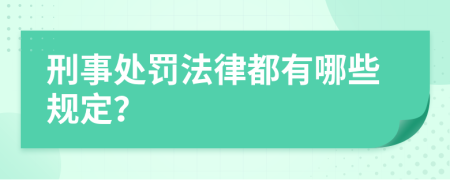 刑事处罚法律都有哪些规定？