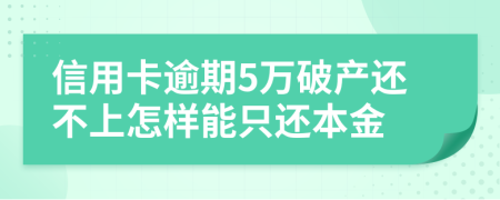 信用卡逾期5万破产还不上怎样能只还本金