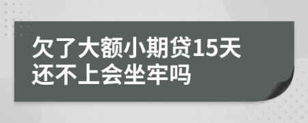 欠了大额小期贷15天还不上会坐牢吗