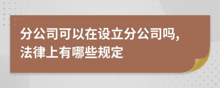 分公司可以在设立分公司吗,法律上有哪些规定