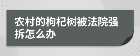 农村的枸杞树被法院强拆怎么办