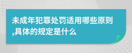 未成年犯罪处罚适用哪些原则,具体的规定是什么