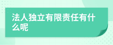 法人独立有限责任有什么呢