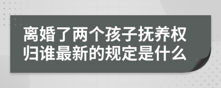 离婚了两个孩子抚养权归谁最新的规定是什么