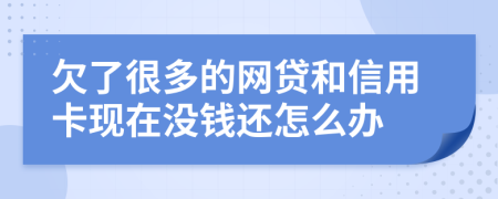 欠了很多的网贷和信用卡现在没钱还怎么办