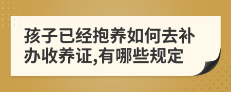 孩子已经抱养如何去补办收养证,有哪些规定