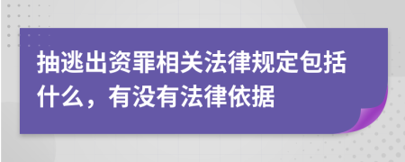 抽逃出资罪相关法律规定包括什么，有没有法律依据