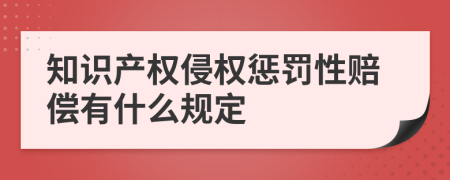 知识产权侵权惩罚性赔偿有什么规定