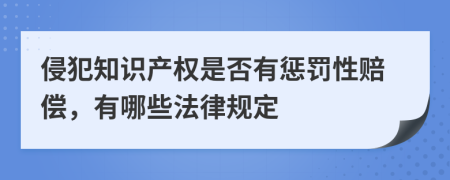 侵犯知识产权是否有惩罚性赔偿，有哪些法律规定