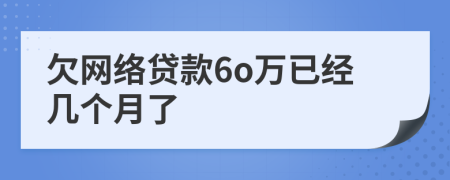 欠网络贷款6o万已经几个月了