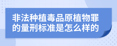 非法种植毒品原植物罪的量刑标准是怎么样的