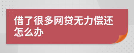 借了很多网贷无力偿还怎么办