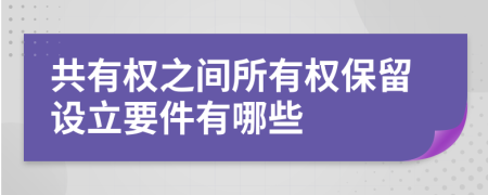 共有权之间所有权保留设立要件有哪些