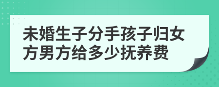 未婚生子分手孩子归女方男方给多少抚养费