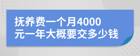 抚养费一个月4000元一年大概要交多少钱