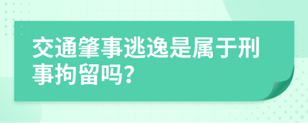 交通肇事逃逸是属于刑事拘留吗？