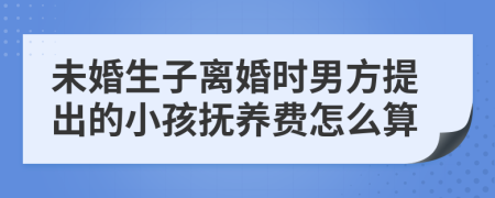 未婚生子离婚时男方提出的小孩抚养费怎么算