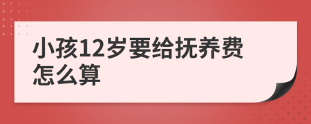 小孩12岁要给抚养费怎么算